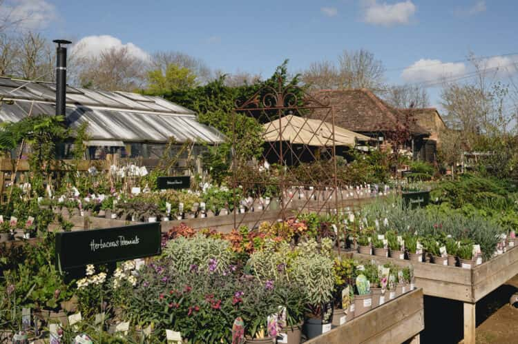 Best Buds: the most beautiful garden centres in London