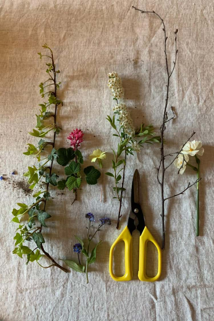 How to forage for flowers on your morning walk