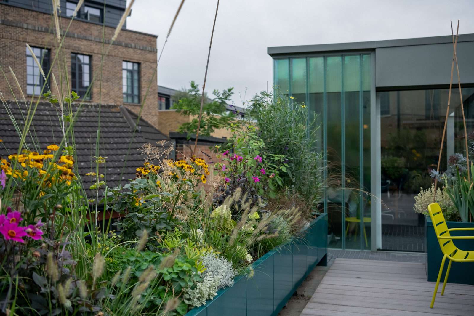 How to grow herbs on your windowsill or balcony