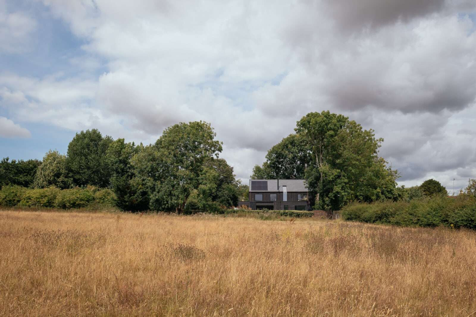 With the rolling South Downs on its doorstep, the award-winning Black Timber House by HAPA Architects sits lightly on the land