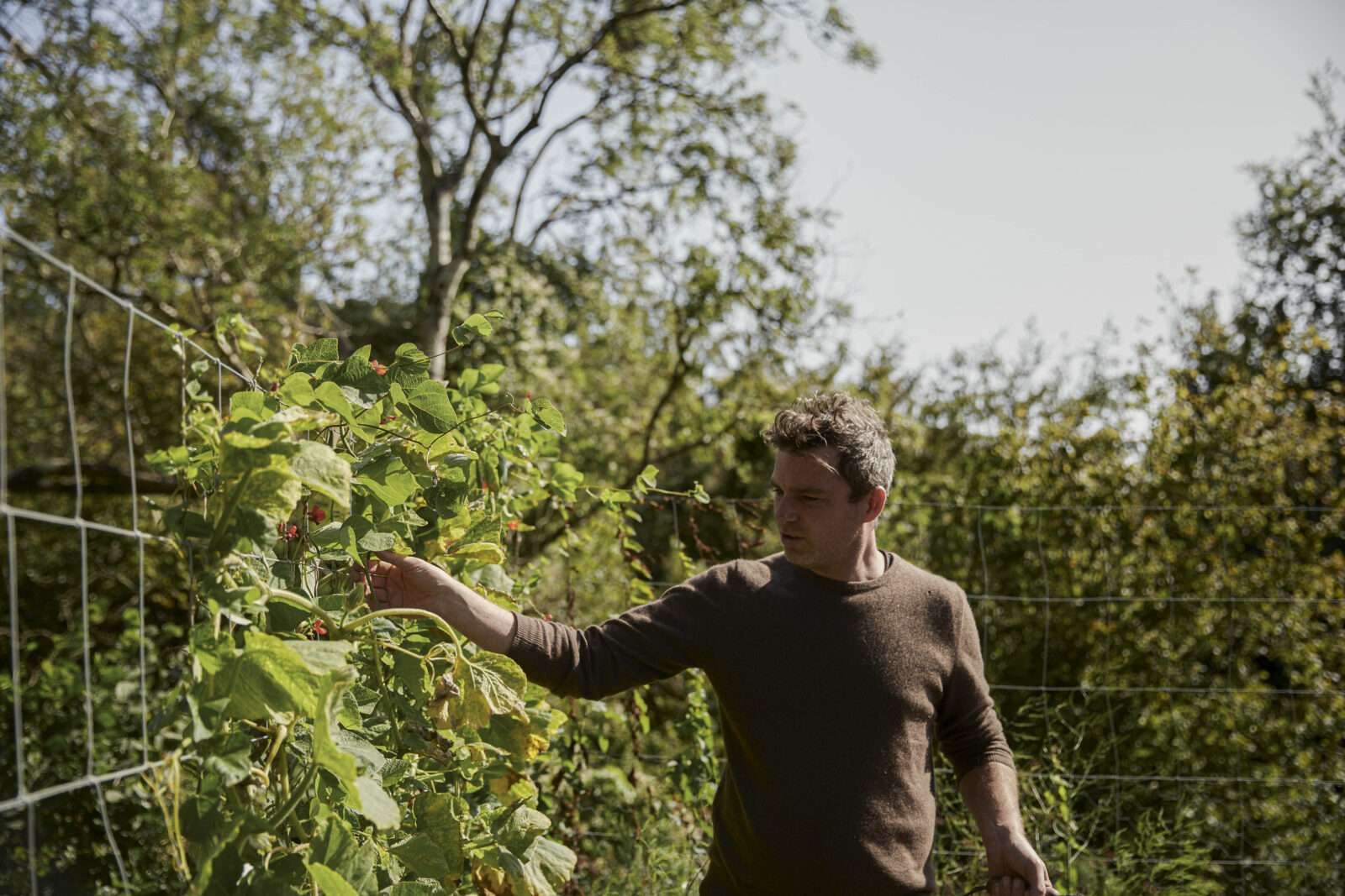 Gill Meller on the specific pleasure of a seasonal tomato at his sea-facing house in Devon